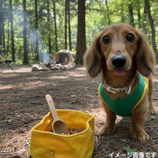お出かけでの使用イメージ（別アングル）。